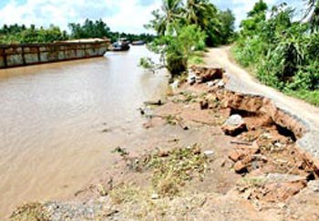 Landslides are eroding the banks of the Cho Gao Canal in Tien Giang Province (Photo: SGGP)